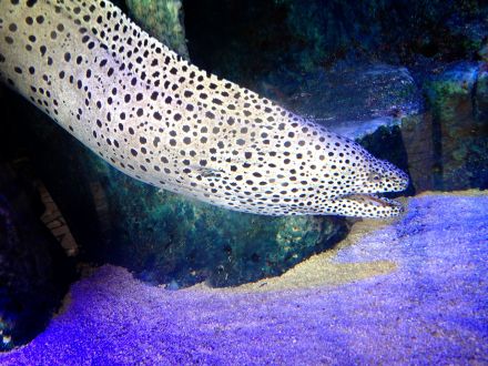 7月1日（水）今日の1コマ