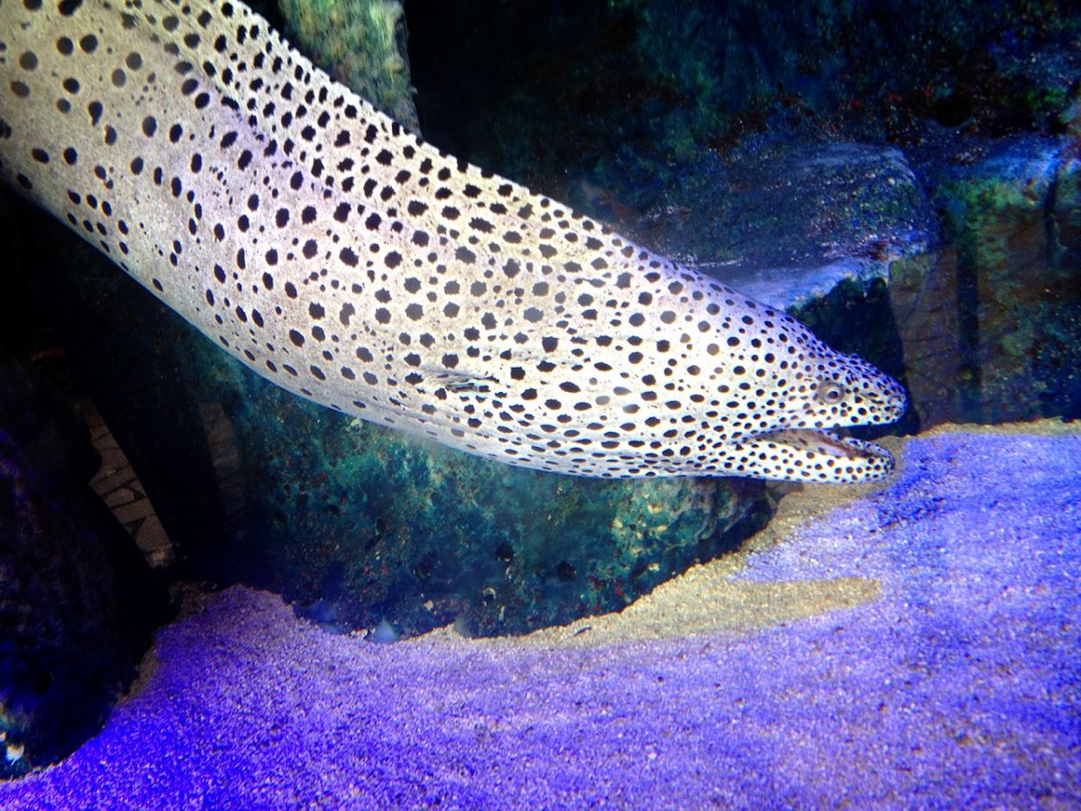 7月1日（水）今日の1コマ