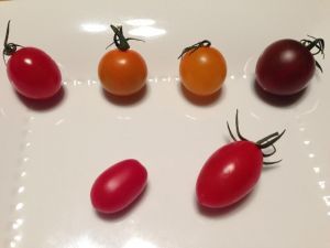 「ＤＪ番井のJack in the Box！