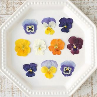 食べるおしばな（徳島）
