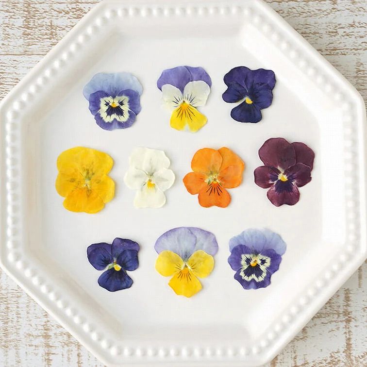 食べるおしばな（徳島）