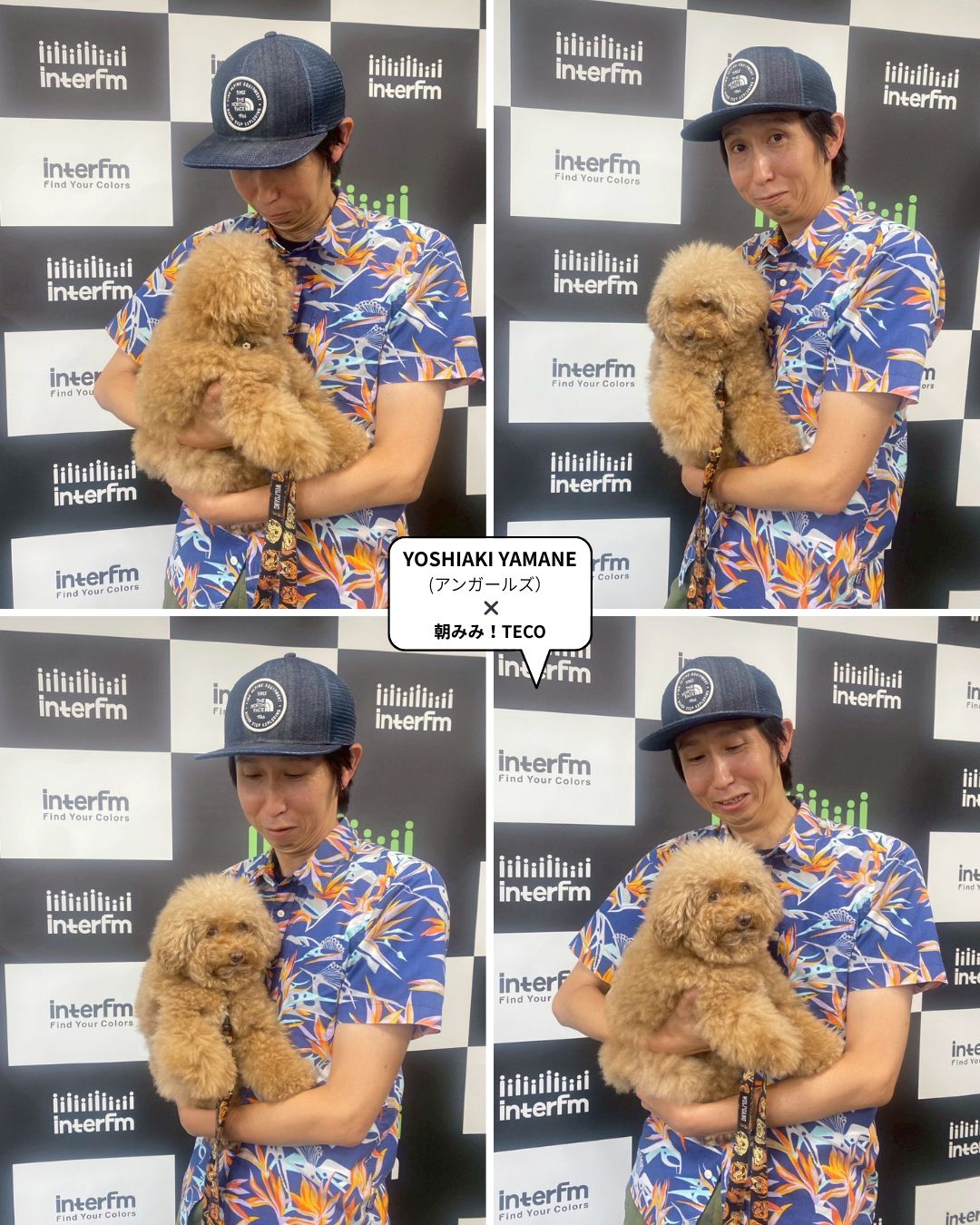 わんちゃんをこよなく愛する芸人さん／アンガールズ山根さんvol.2 ロクシーちゃんのおやつ活用法?