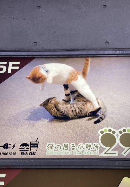 6月10日（木） 今日の1コマ♪