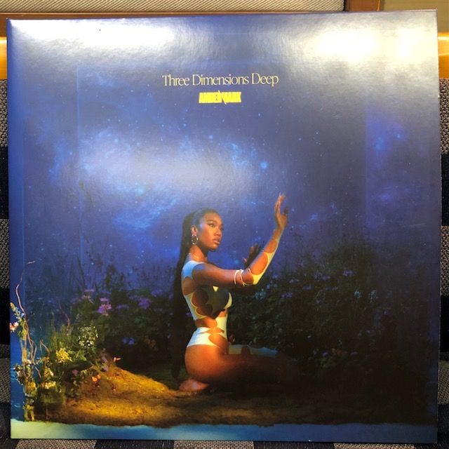 バイナルギャラリー (RHYMESTER DJ JINの秘蔵レコード紹介 未放送ノーカット版)