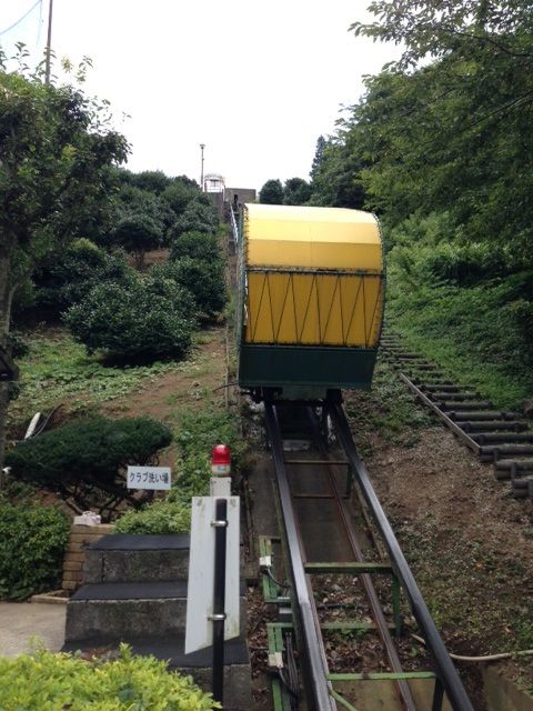 藤井悠のいただき＠ゴルフ再び！