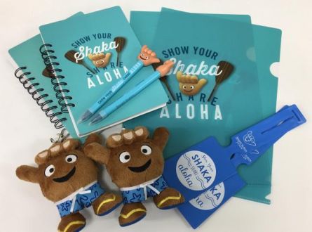 Ａ・Ｏ・Ｒ～Hawaiian Breeze～ ハワイプレゼント