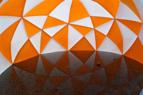  8月31日（月）担当：村上祐資