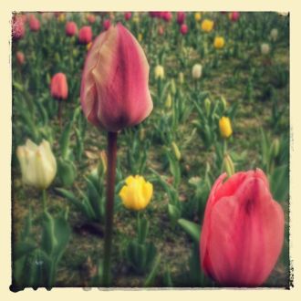 3月31日（金）今日の1コマ