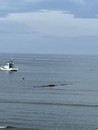 斉藤リョーツのいただき！開け海