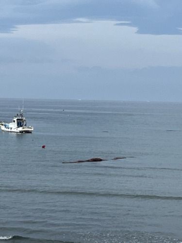 斉藤リョーツのいただき！開け海