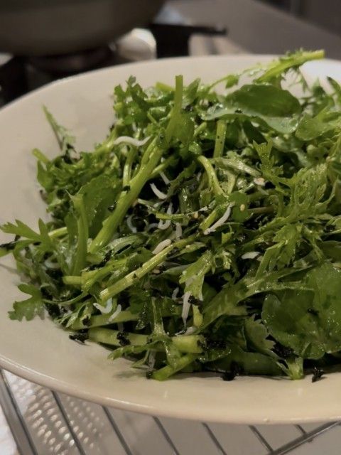 藤井悠のいただき！緑！