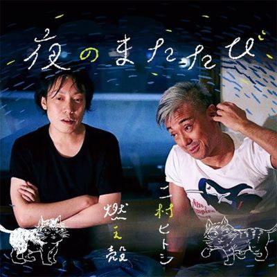 夜のまたたび