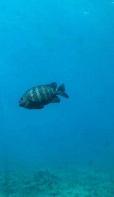 7月20日（火）今日の1コマ