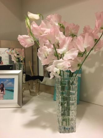 今日の1コマは「スイートピー」