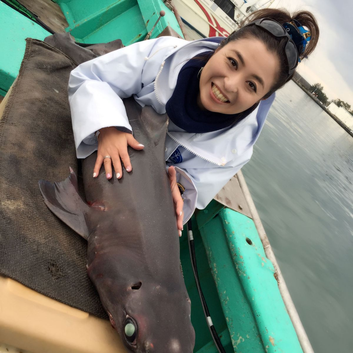 サメが絶滅危惧に瀕しているワケとは　日本人とサメの深い関係（後編）