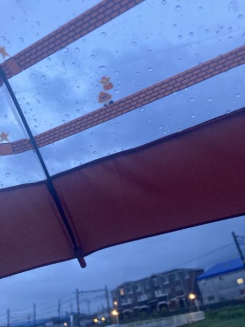 6月3日(木) 今日の1コマ♪