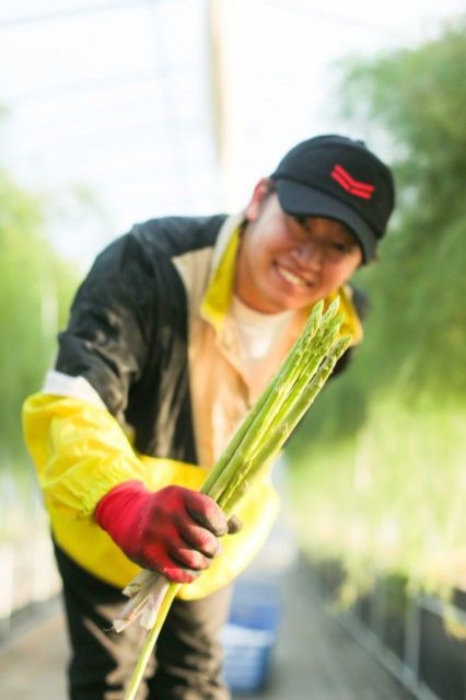 お宝ファイルNO.126　オオモリヤアスパラとアスパラ王子　大森翔太さん