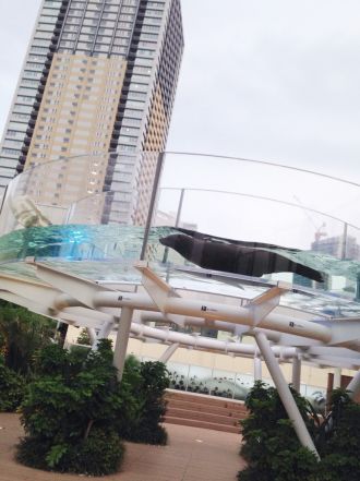 藤井悠のいただき！外で見れちゃう！！