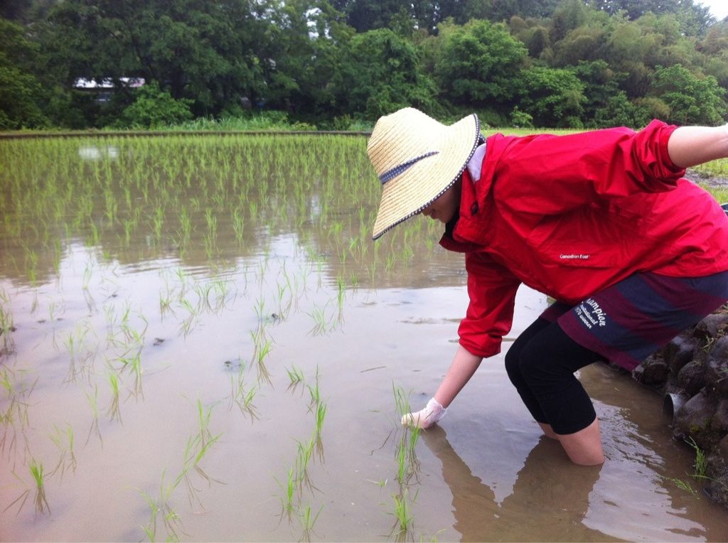 5月12日（火）今日の1コマ
