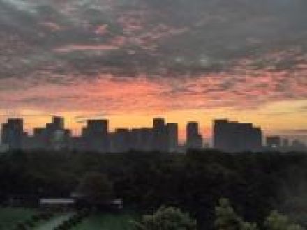 １０月３日（木）