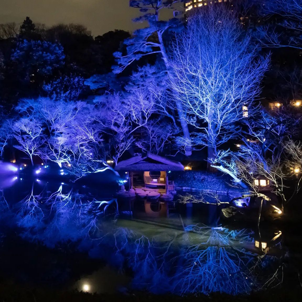 #010 蒼の幻想に魅了！TOKYO BLUE GARDEN