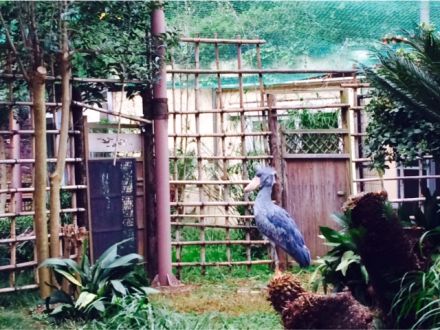 6月14日（火）今日の1コマ