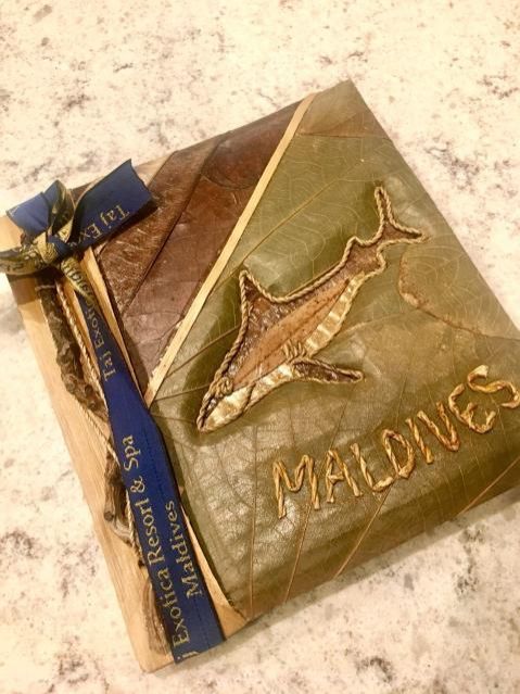 3月28日（木）今日の一コマ♪