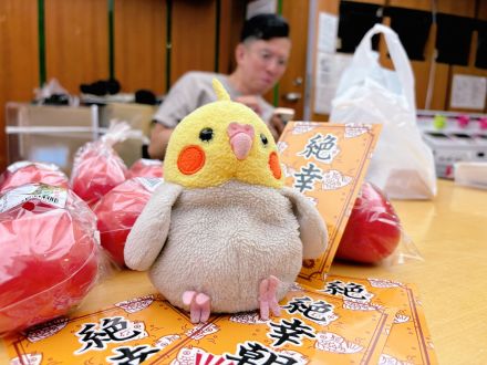 悩んだ時はメッセージ送ってください🐥