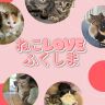 ２０２６年８月１０日放送