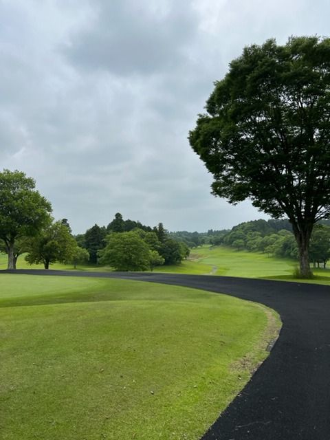 藤井悠のいただき！ふぁー！