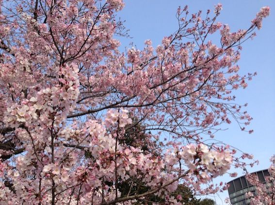 4月1日（金） simple style