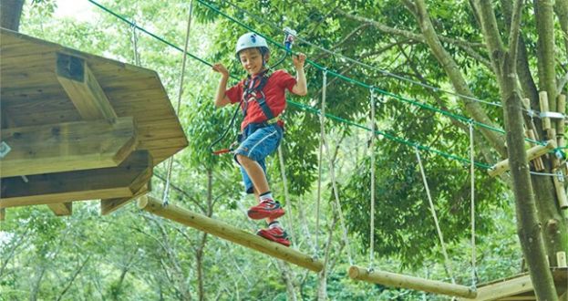 こもれび森のイバライド