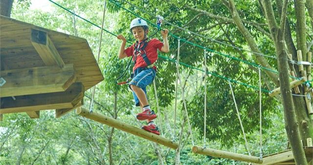 こもれび森のイバライド