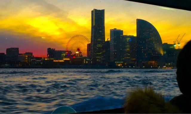 6月13日（水）今日の一コマ