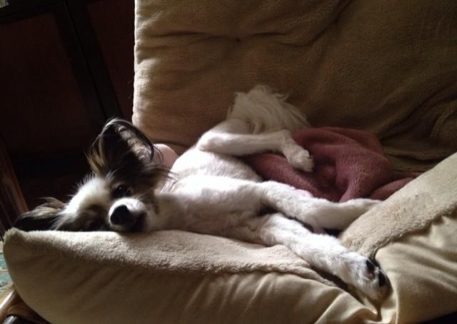 1月11日（水）Song List♪