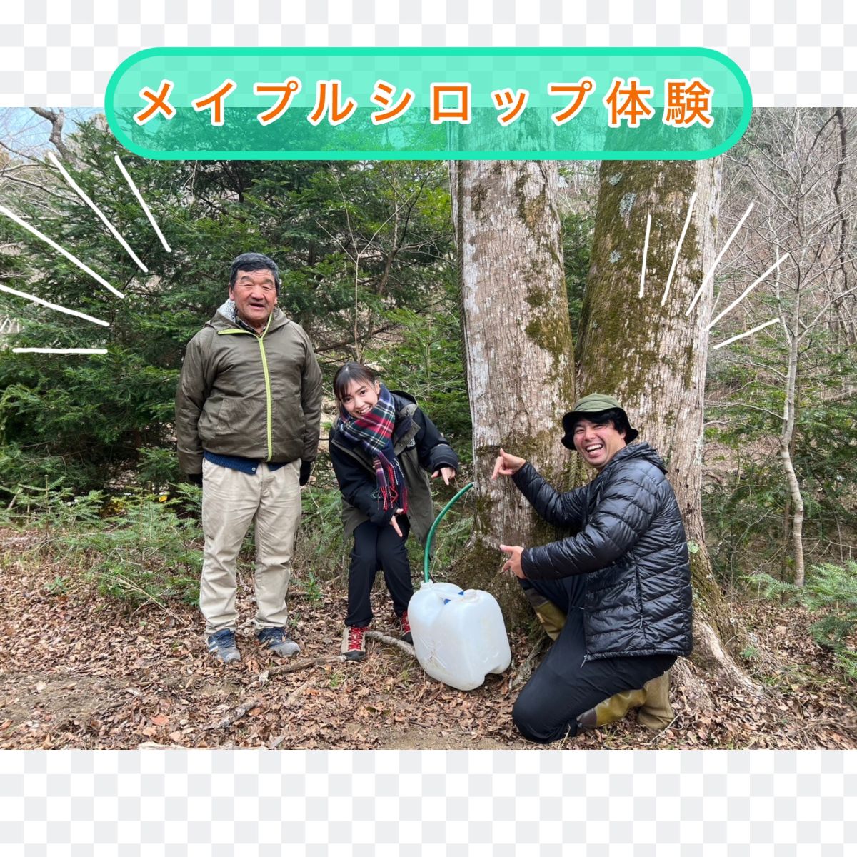 【＃４５　カエデの樹液で作るメイプルシロップ体験！　】～Sato Note