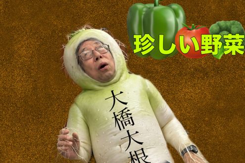 珍しい野菜