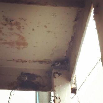 6月27日（火）  今日のメニューは？