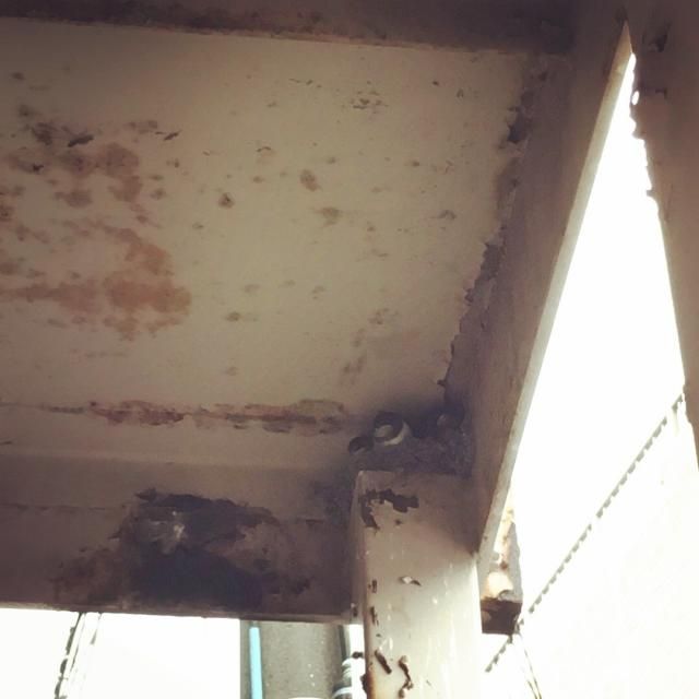 6月27日（火）  今日のメニューは？