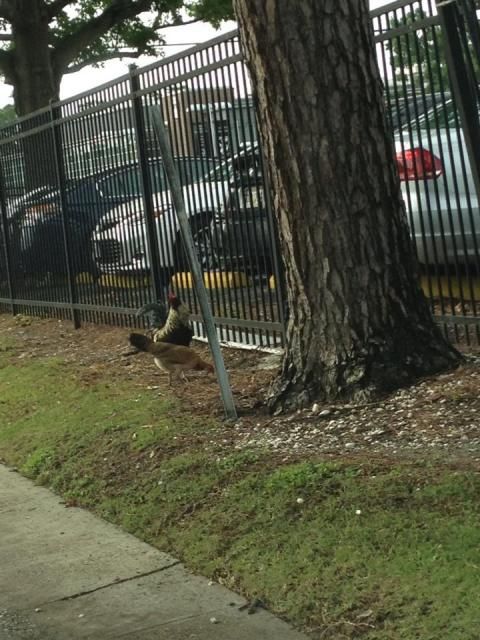 3月13日（火）今日の1コマ　