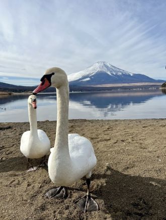 突然終わるアフタートーク