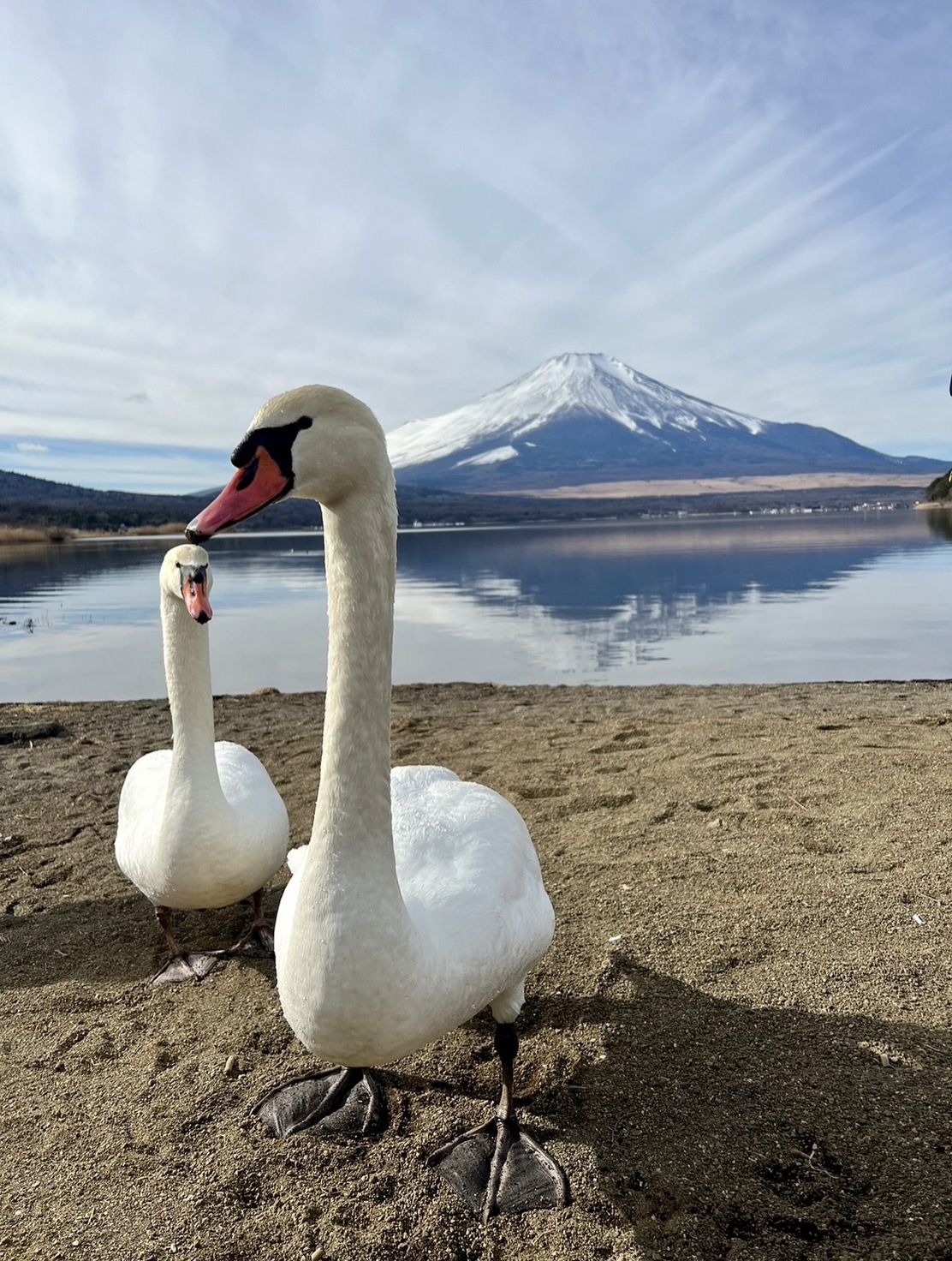 突然終わるアフタートーク