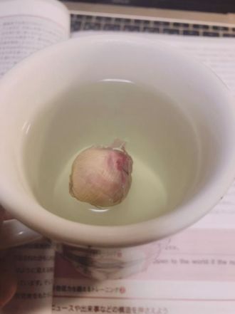 1月28日（火）　今日の1コマ　