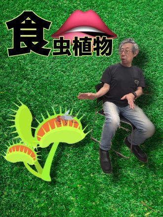 食虫植物