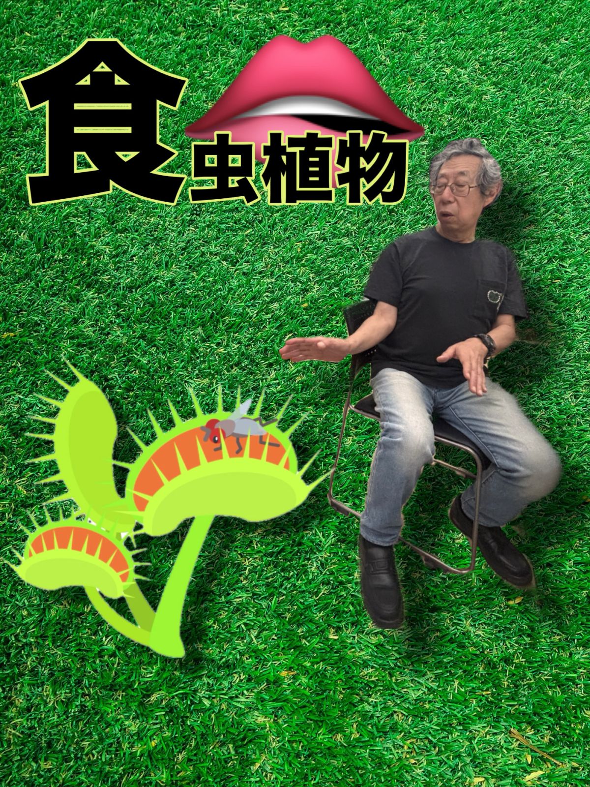 食虫植物