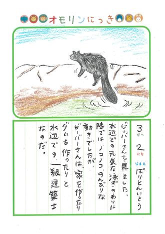 2025年3月2日「ビーバーさんをみできましたよ」