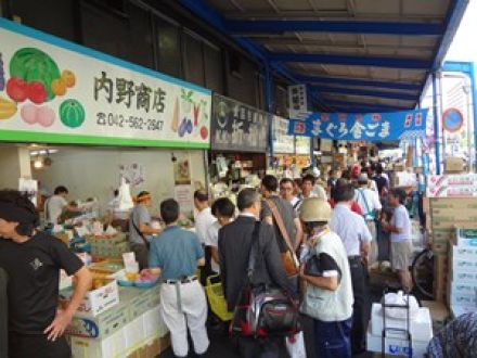 東京発どこ行くツアー　築地編