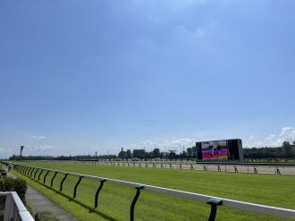 第４３回【みんなのオススメシーン、名場面！１００回でも見れちゃう！】