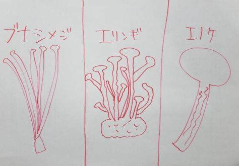 9月7日（月）Song List♪