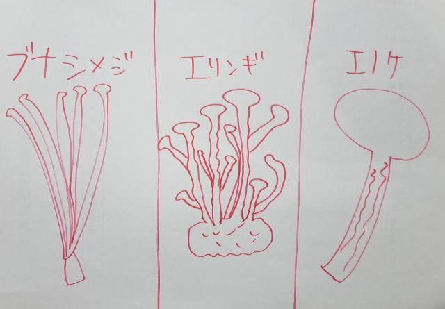 9月7日（月）Song List♪